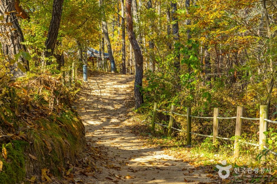 영동_양산팔경 금강둘레길 (6)