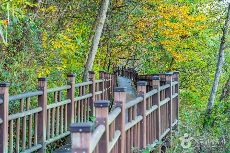 영동_월류봉 둘레길 (6)