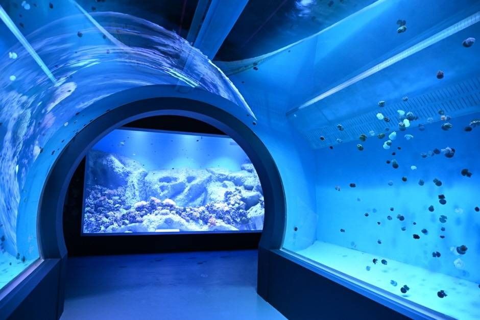 시흥 해양생태과학관