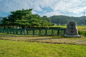 예천 천향리 석송령