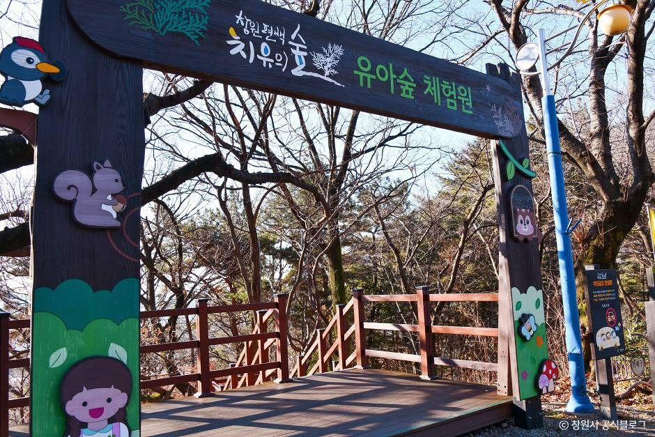 창원 편백 치유의 숲