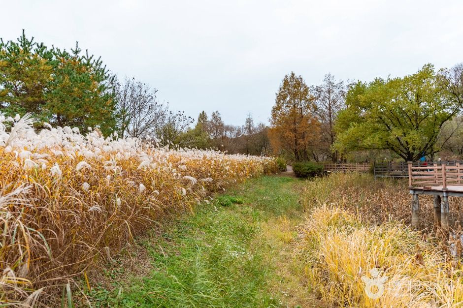 탑정호 수변생태공원