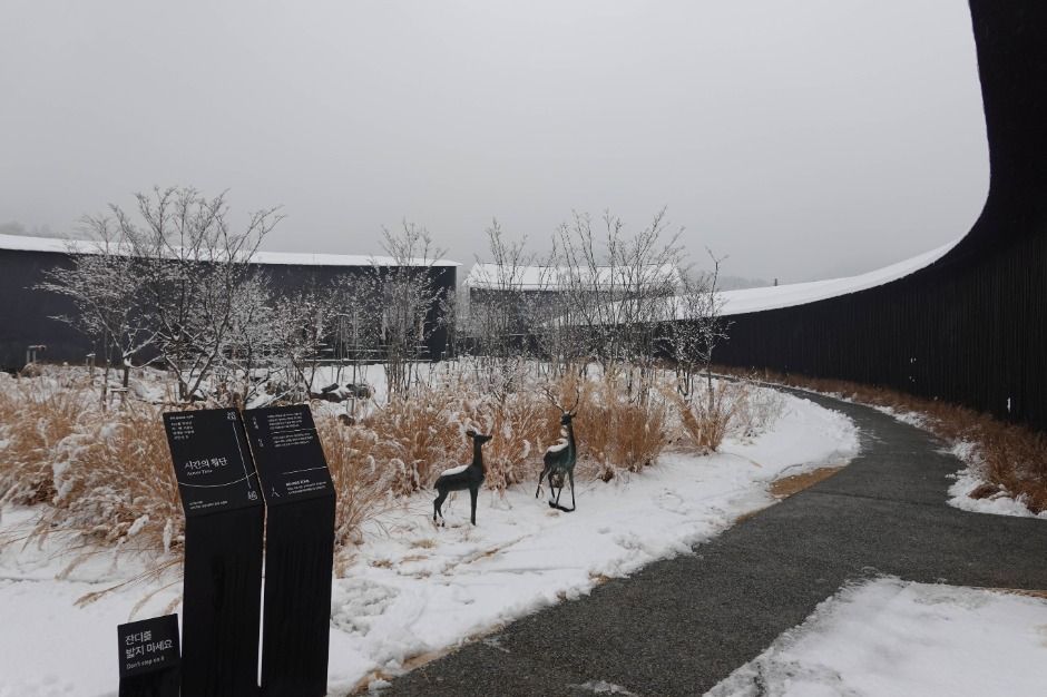 칠곡_시호재&시차 (7)