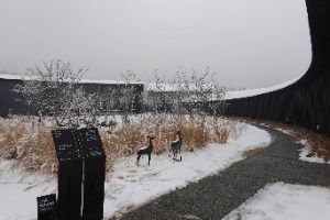 칠곡_시호재&시차 (7)