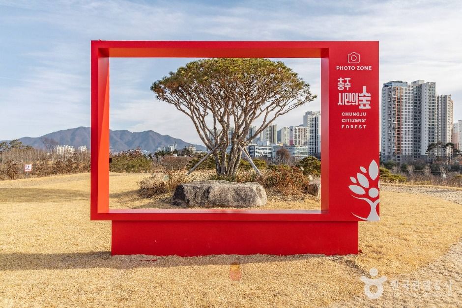 충주 시민의 숲