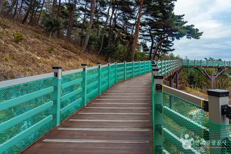 봉수산자연휴양림&수목원