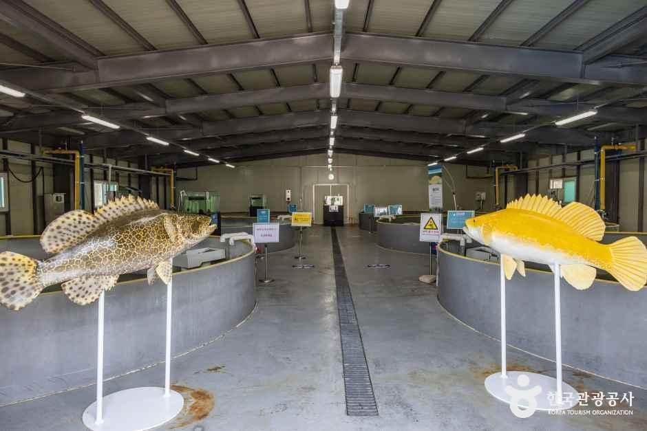 thumbnail-충북아쿠아리움-15