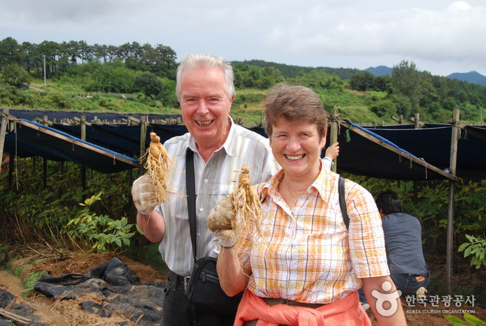 Geumsan Insam (Ginseng) Festival (금산인삼축제)