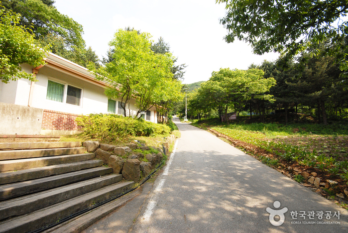 thumbnail-Cheongpyeong Recreational Forest (청평자연휴양림)-14