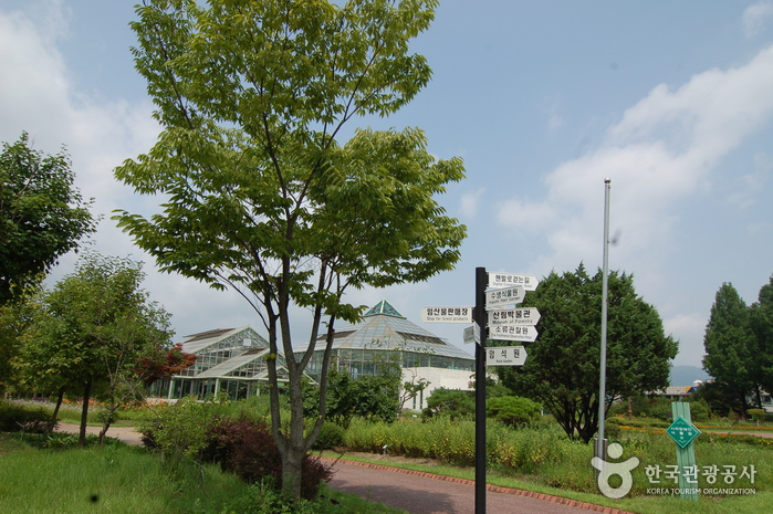 Gangwon-do Provincial Flower Garden (강원도립화목원)