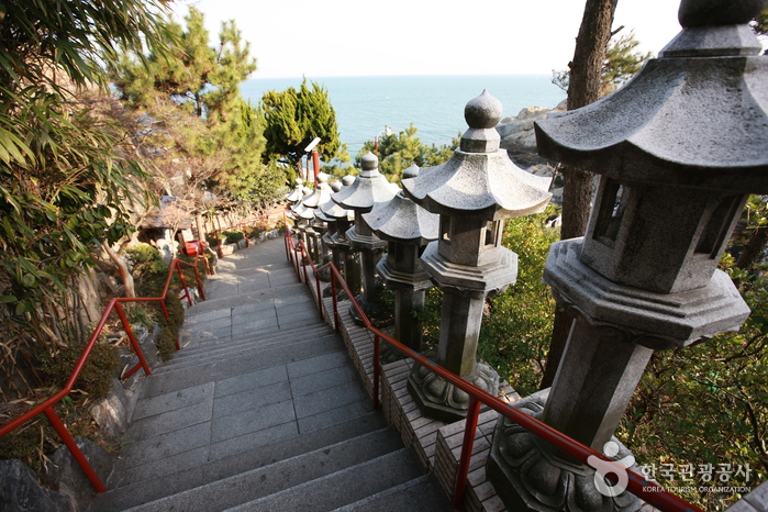 Haedong Yonggungsa Temple (해동 용궁사)