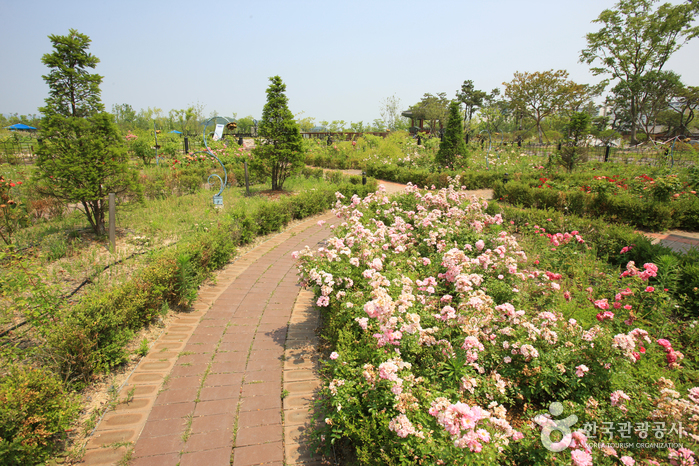 Hanbat Arboretum (한밭수목원)