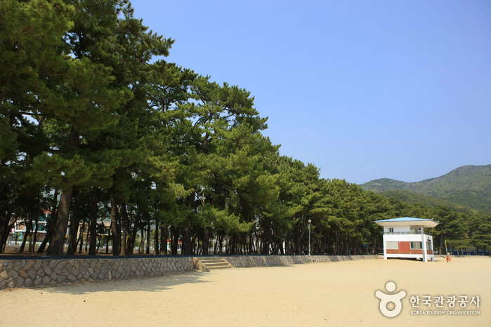 Playa Sangju Eunmorae (상주은모래비치)27