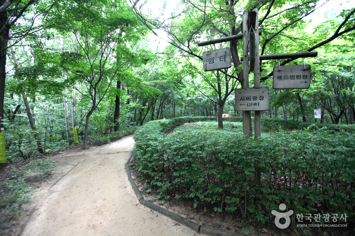 清潭公園（청담공원）