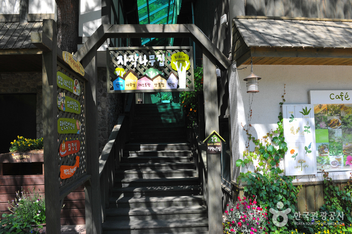 Herbnara Farm (허브나라농원)