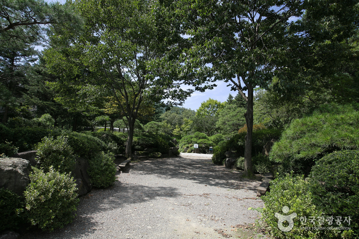 国立树木园(光陵林)국립수목원(광릉숲)