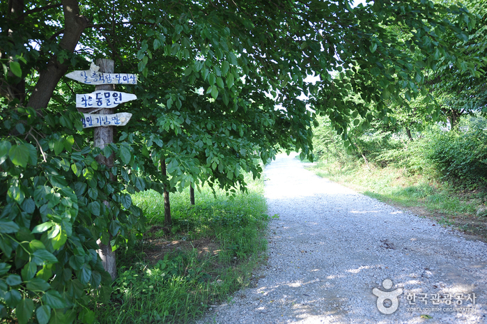 Borinara Hagwon Farm (보리나라 학원농장)