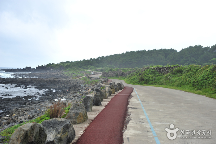 [제주올레 8코스] 월평-대평 올레2