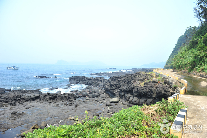 [제주올레 12코스] 무릉-용수 올레4