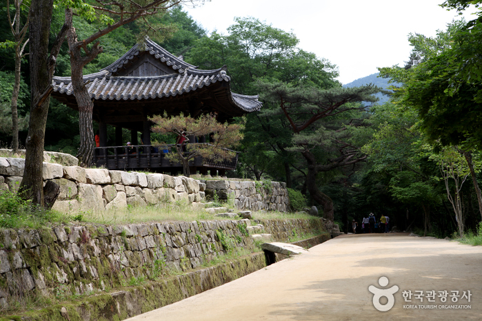 문경새재도립공원 사진33