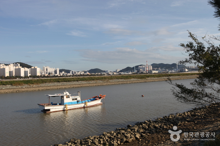 乙淑岛候鸟公园(을숙도 철새공원)