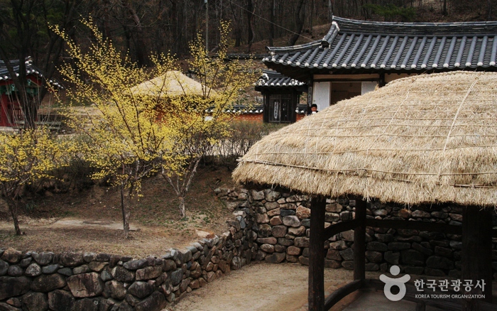 Traditional Culture Contents Museum (전통문화콘텐츠박물관)