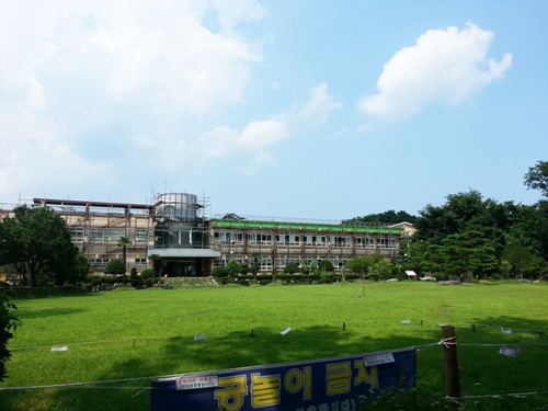 Ulsan Wild Flower Le...