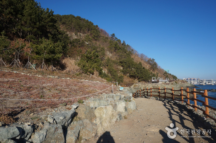 Igidae-Park (이기대 (부산 국가지질공원))