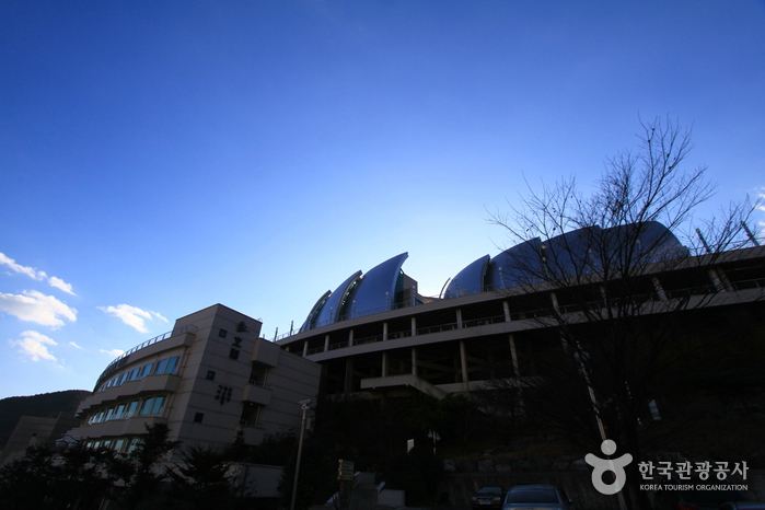 홈포레스트호텔0