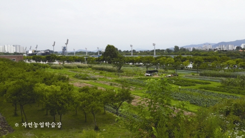 미사리경정공원9