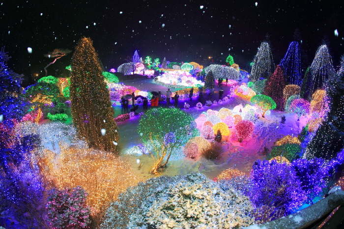 Lighting Festival at The Garden of Morning Calm (아침고요수목원 오색별빛정원전)