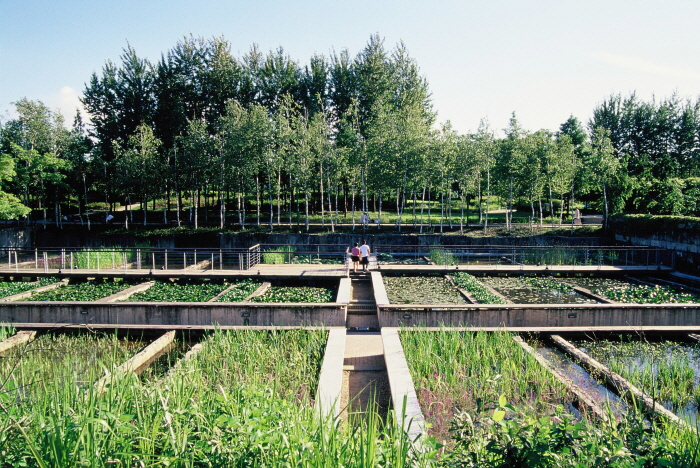 Seonyudo Park (ì ì ëê³µì)