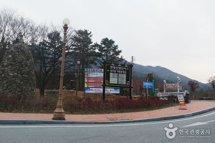 Erholungswald Seongjubong (성주봉자연휴양림)