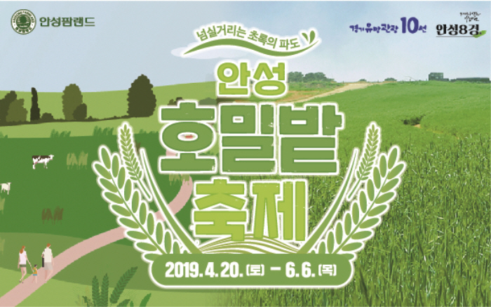 안성 호밀밭축제 20195