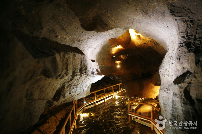 Höhle Cheongokdonggul (천곡황금박쥐동굴)
