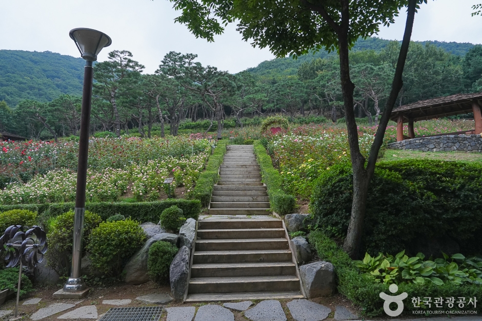 Gyeyangsan Mountain Trail (계양산둘레길)