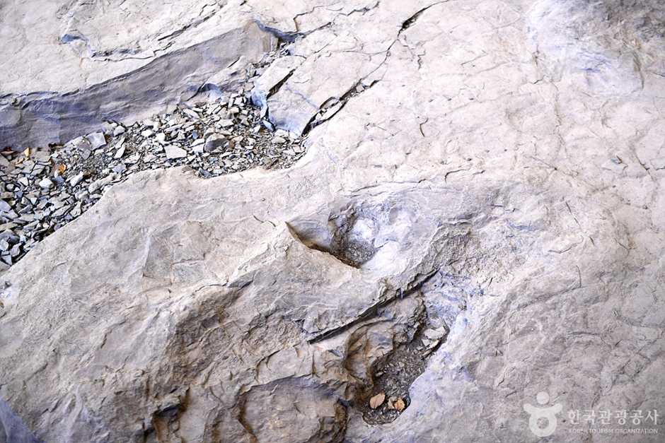 화순 서유리 공룡발자국화석 산지