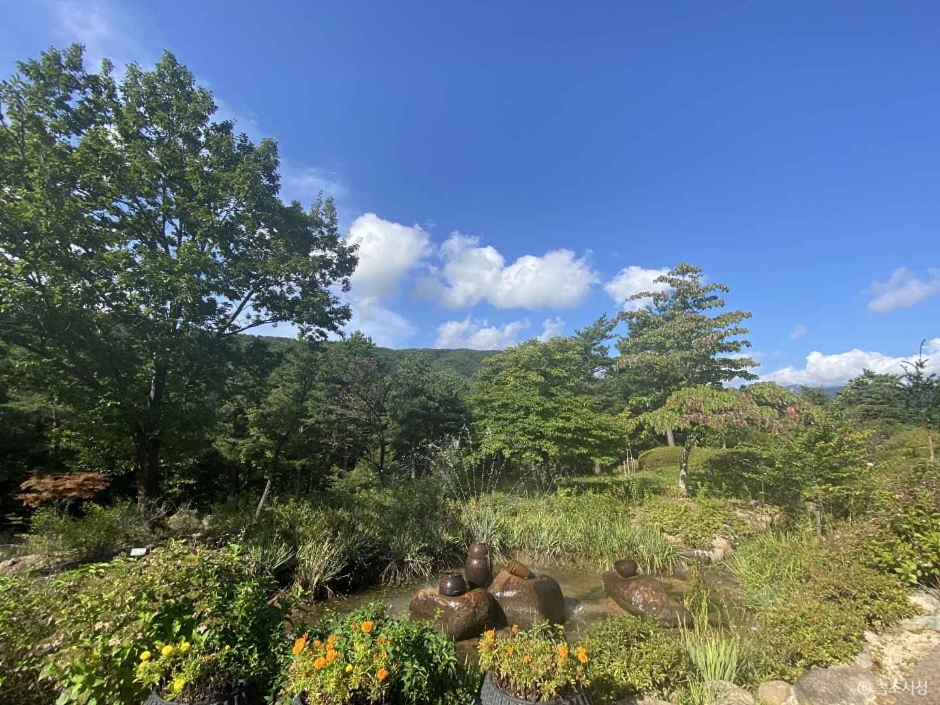 雪岳山野生植物园 (설악산 자생식물원)