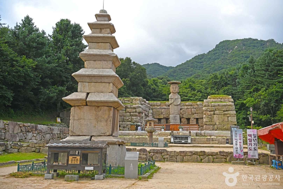 충주 미륵리 석조여래입상