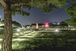 정림사지 (2)
