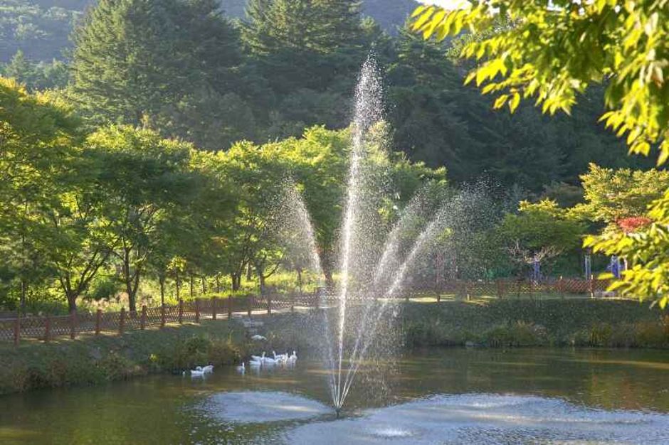 반려견과 함께하는 선명상 축제