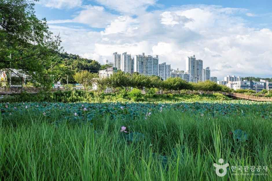 thumbnail-문성지-7