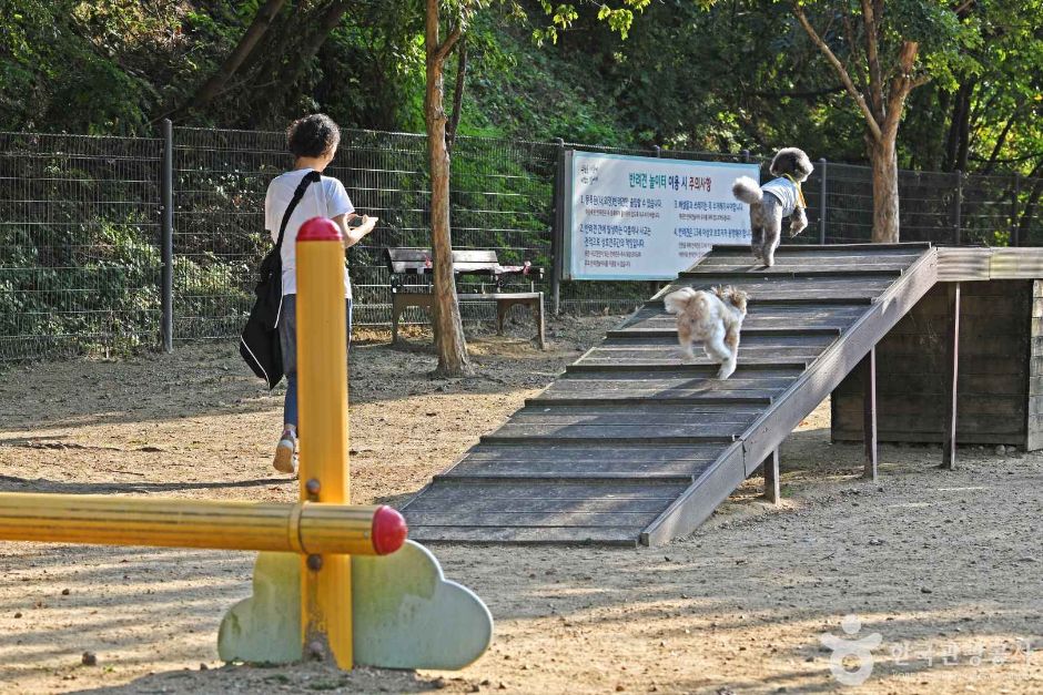 광교호수공원 반려견 놀이터