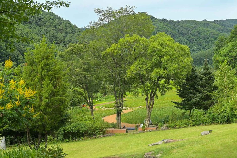 국립한국자생식물원