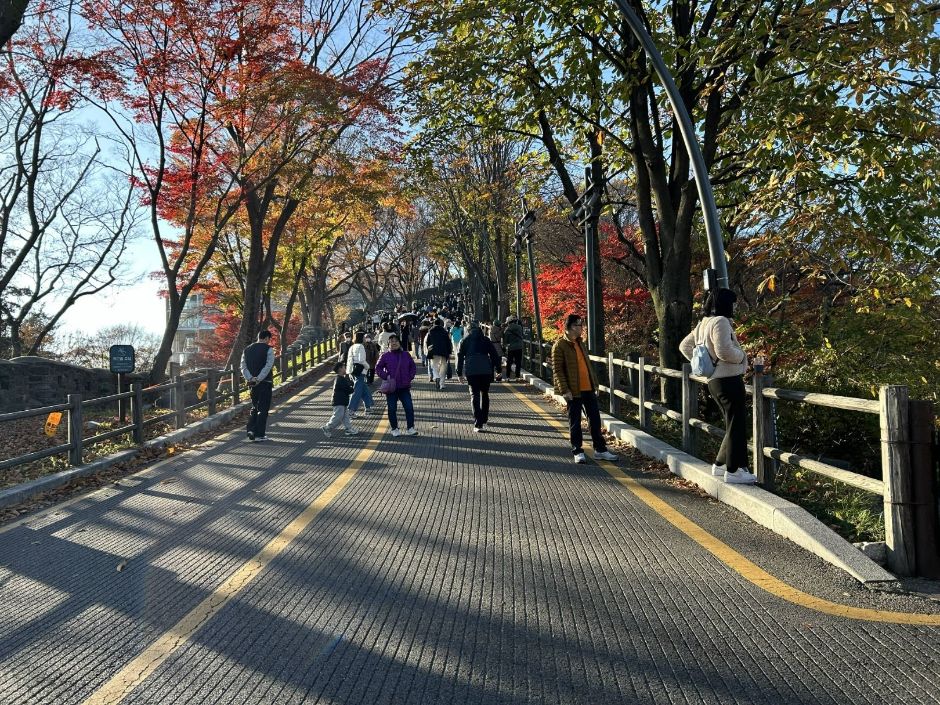 남산순환나들길