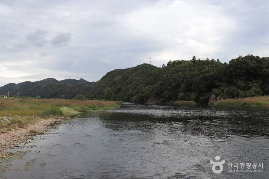 부남면 금강하천 (4)_e