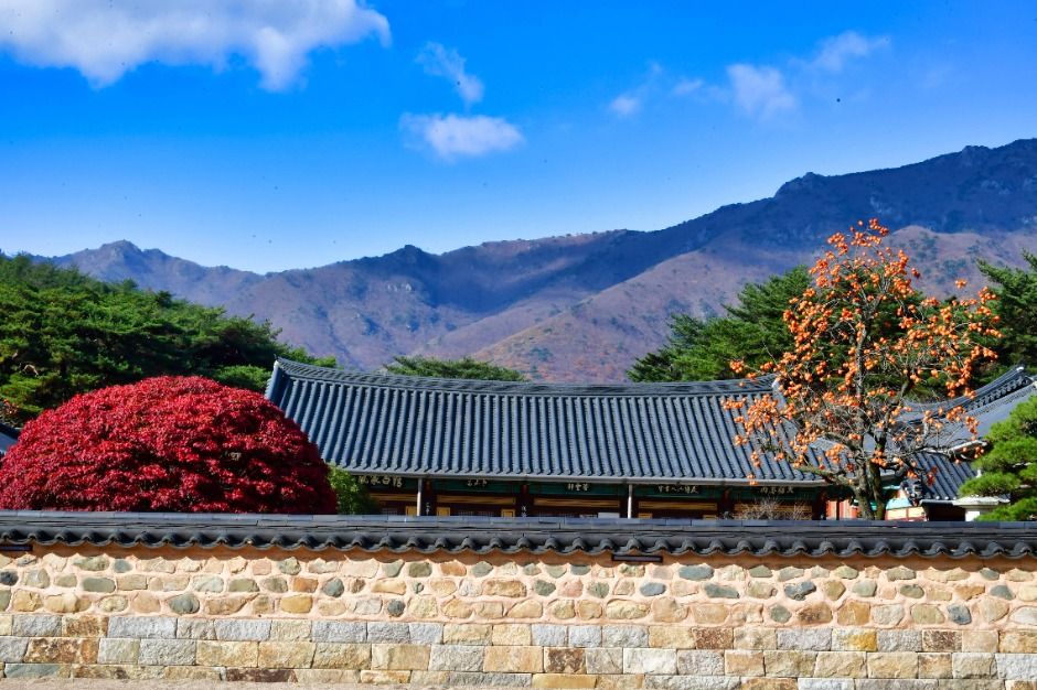 양산_통도사 (7)