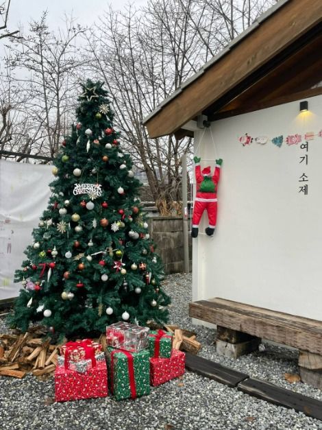 여기소제 (25)