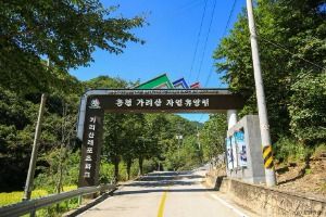 홍천_가리산 레포츠파크 (2)