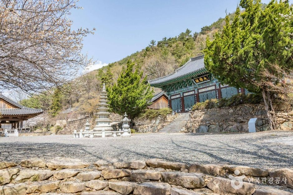 금둔사